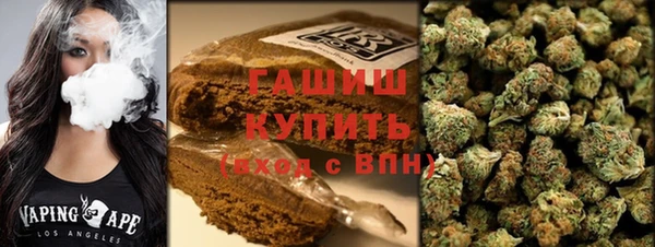 шишки Богородицк